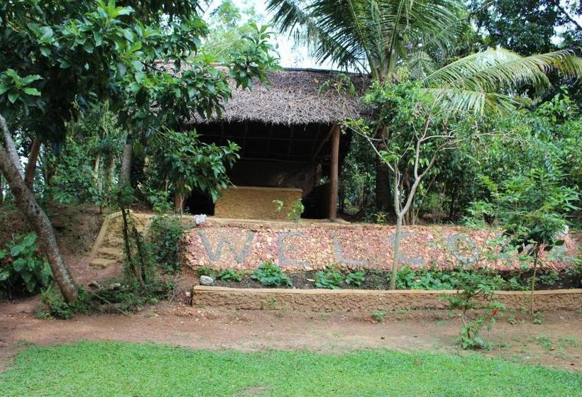 פנסיון Abberny Villa