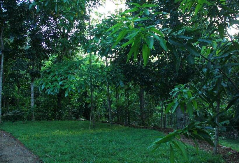 פנסיון Abberny Villa