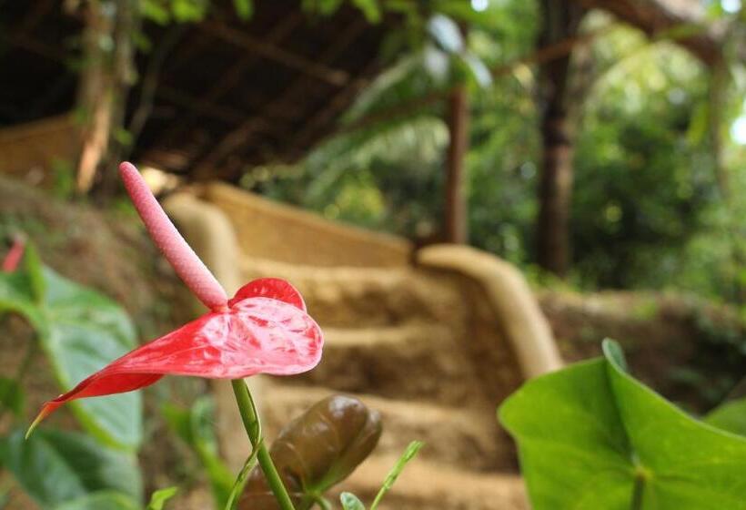 פנסיון Abberny Villa