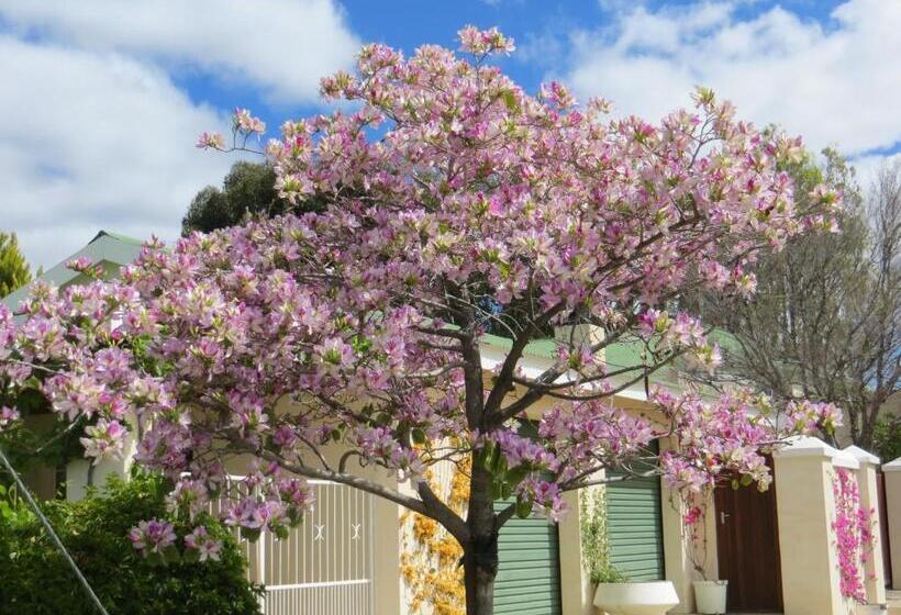 펜션 Bougain Villa Guesthouse