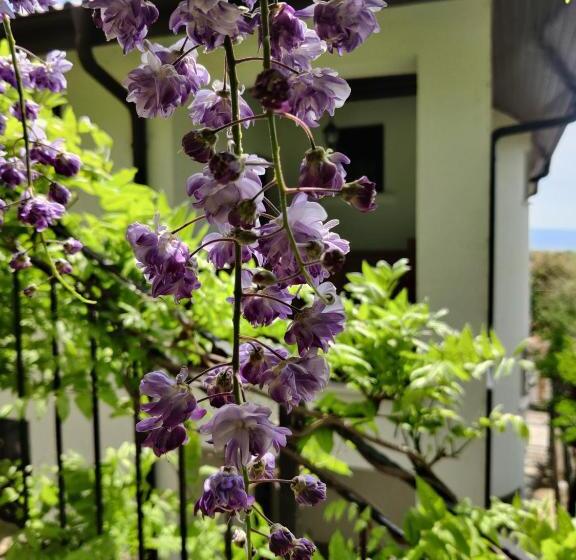 ペンション Cloudbase Guesthouse