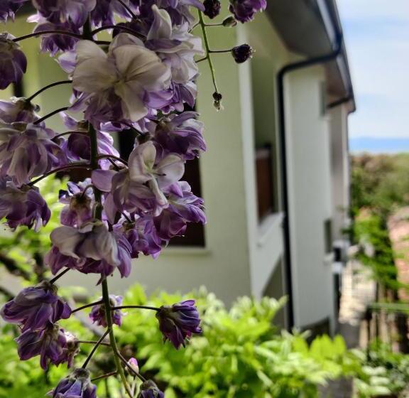 ペンション Cloudbase Guesthouse