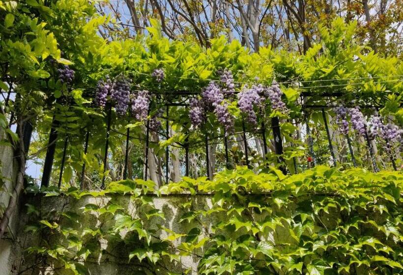 ペンション Cloudbase Guesthouse