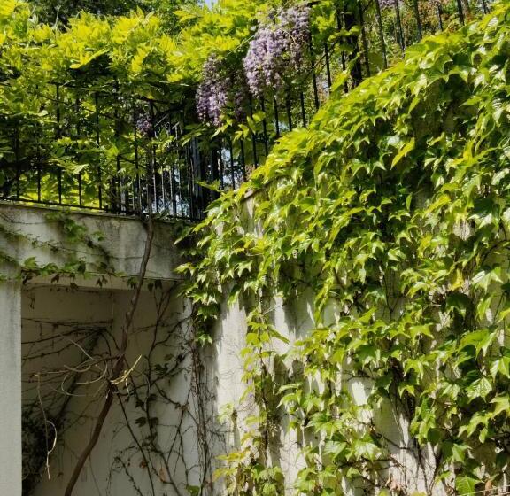 ペンション Cloudbase Guesthouse