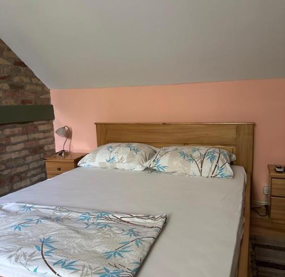 پانسیون Guest House Pikec