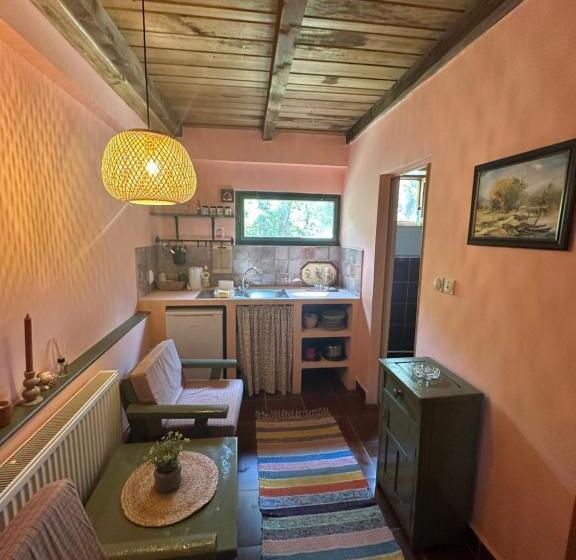 پانسیون Guest House Pikec