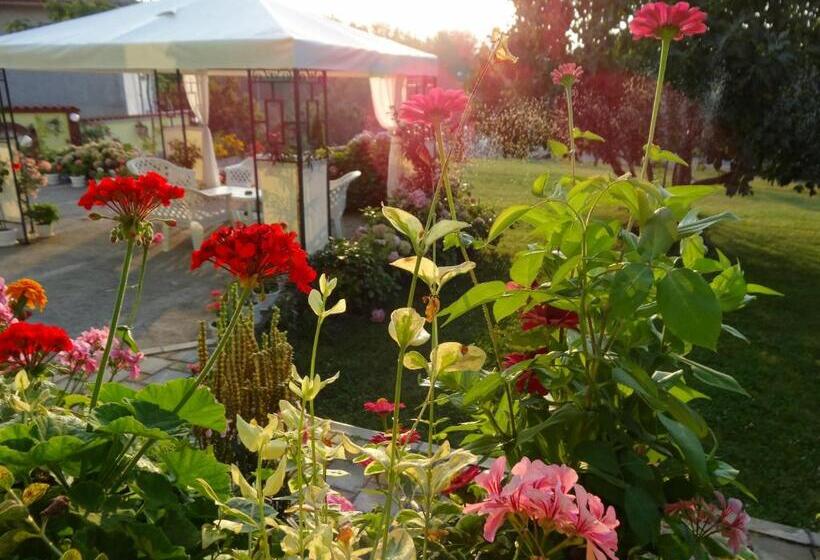 펜션 Guesthouse Kamelia