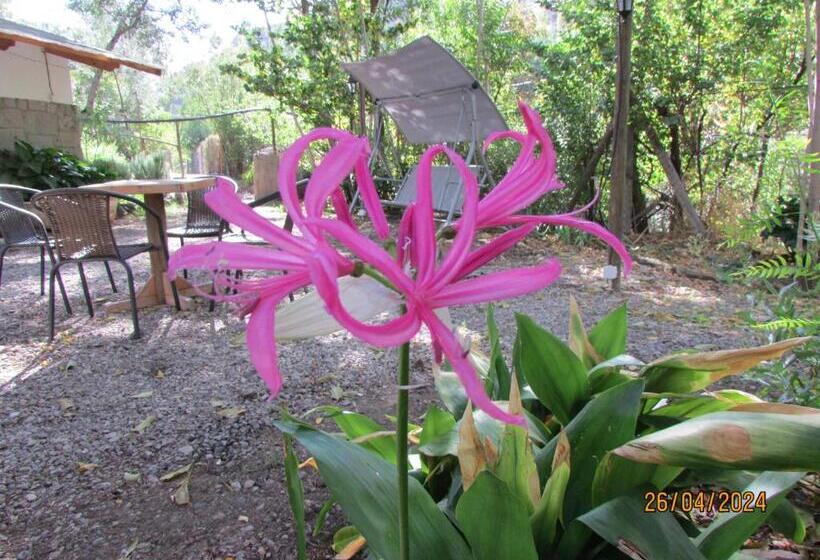 بنسيون Hostal Los Peñones