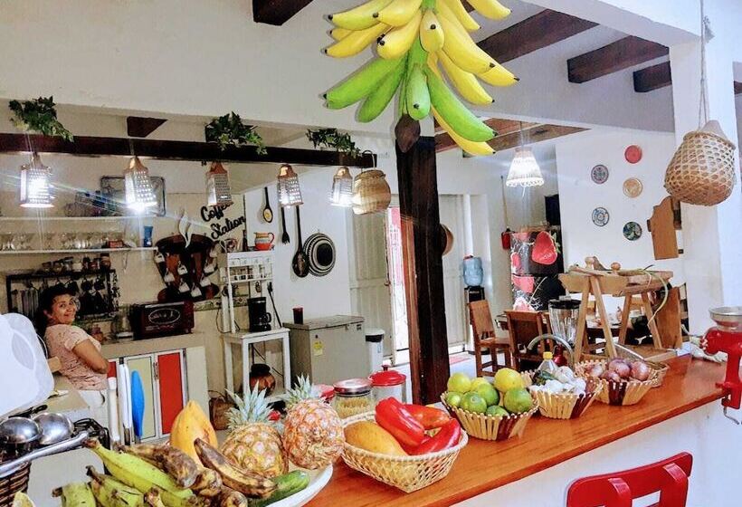 Пансион Hostal Solsticio Guajiro