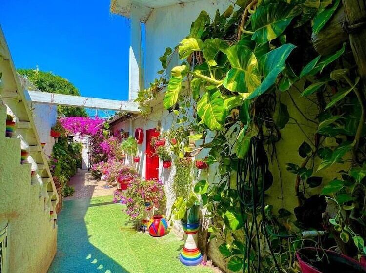 Пансион Hostal Solsticio Guajiro