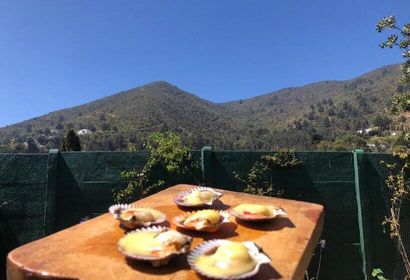 ペンション Hostería Zapallar