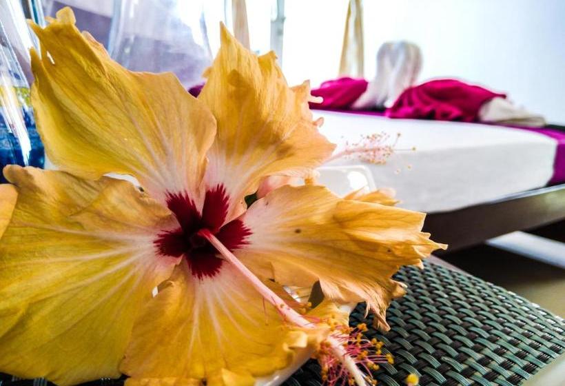 ペンション Mick Villa