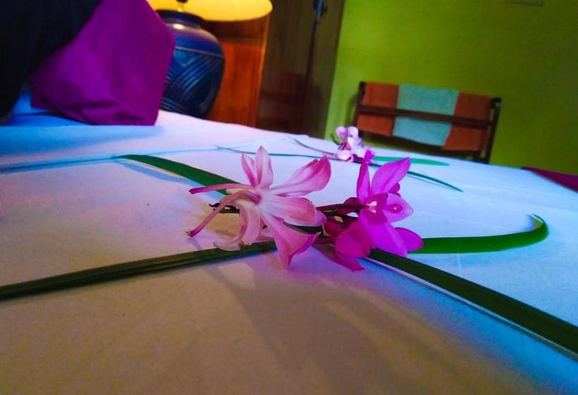 ペンション Mick Villa