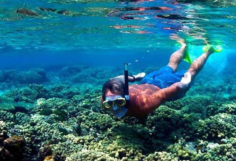 ペンション Mick Villa