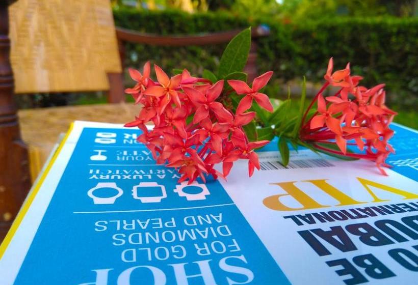 ペンション Mick Villa