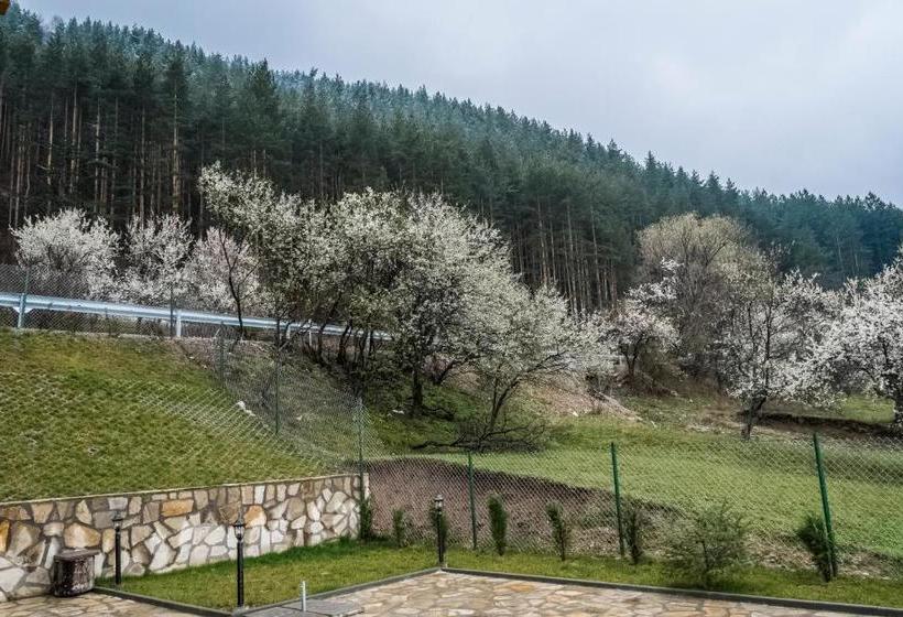 پانسیون Mini Complex Rilski Terasi