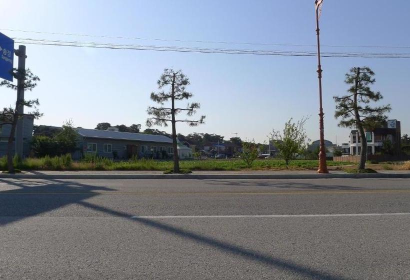 Пансион Pine Garden Guesthouse