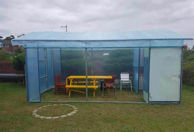 Пансион Pine Garden Guesthouse