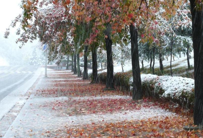 Пансион Pine Garden Guesthouse