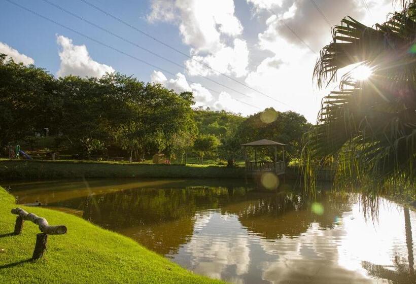 פנסיון Pousada Das Bromélias