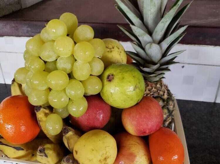 ペンション Pousada Mama Pereira