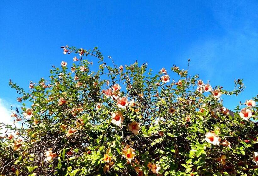 פנסיון Pousada Mandala