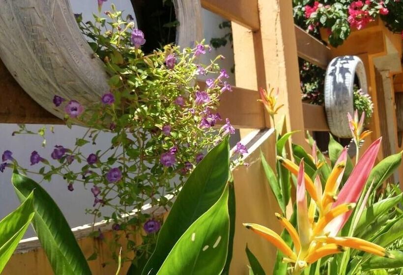 Пансион Pousada Tikuna