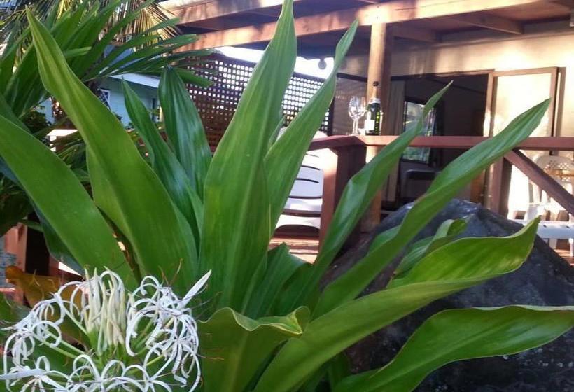 پانسیون Sunset Palms Rarotonga