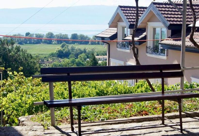 پانسیون Villa Megdani