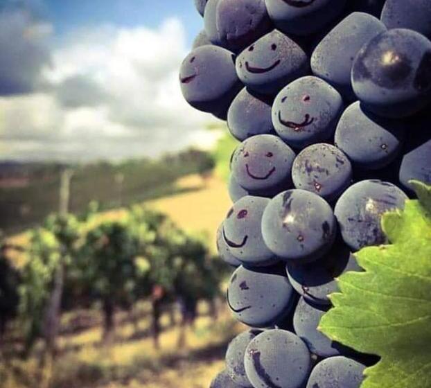 پانسیون Villa Radica