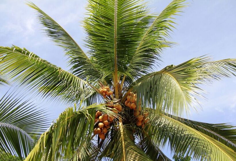 بنسيون Villa Serenity   Jayavikumgama