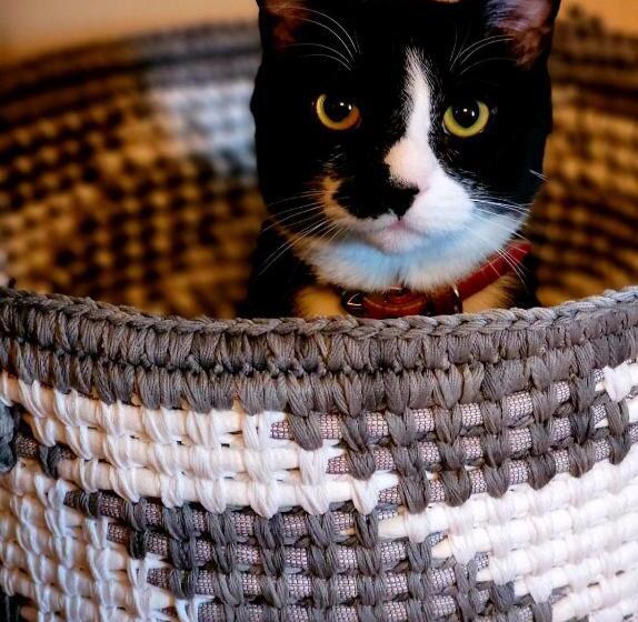 فندق صغير Stepping Stone Inn