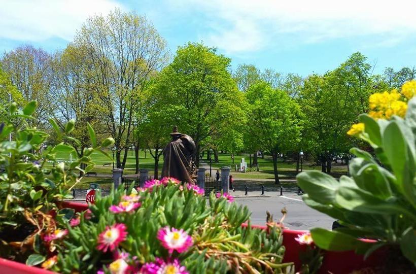 فندق صغير Stepping Stone Inn