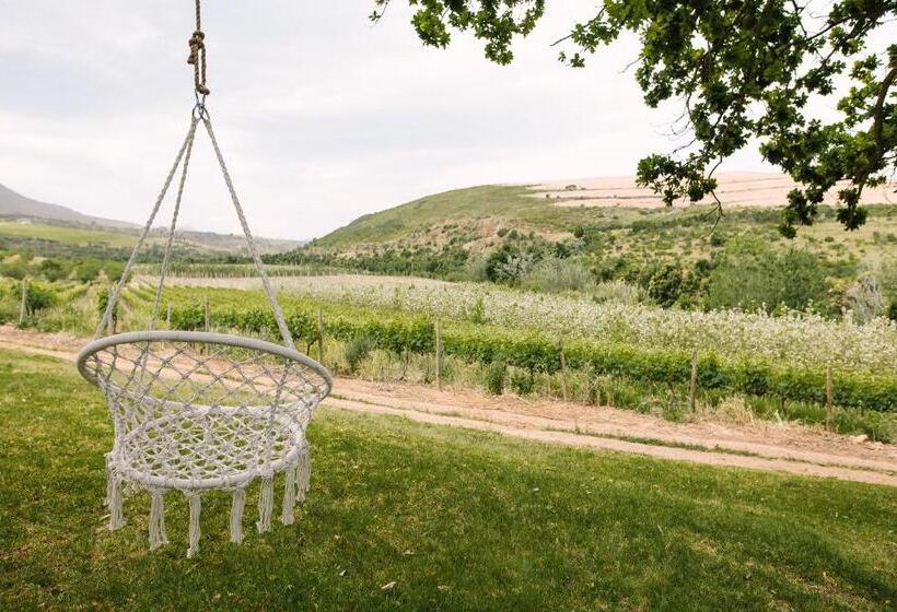 בית מלון כפרי Beaumont Family Wines