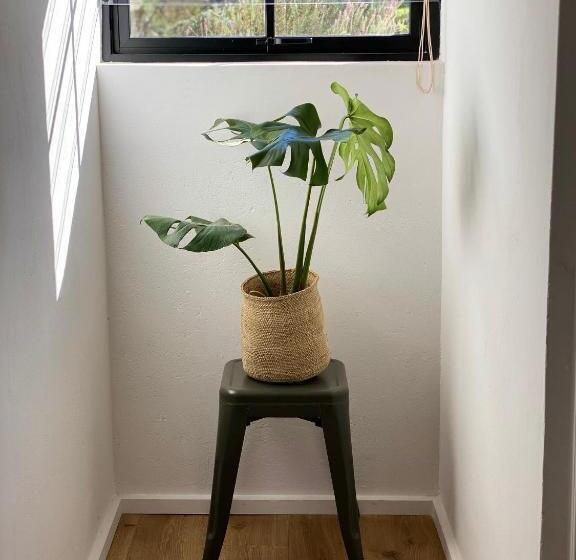 בית מלון כפרי Beaumont Family Wines