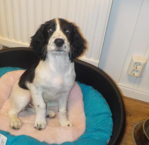 호텔 Lovelund Farm House