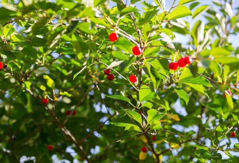 호텔 Lovelund Farm House