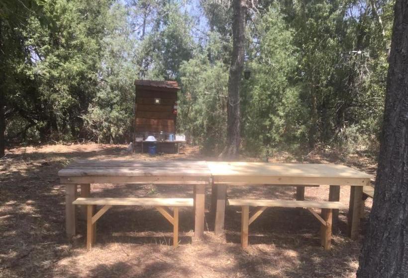 فندق Taos Goji Farm & Eco Lodge Retreat