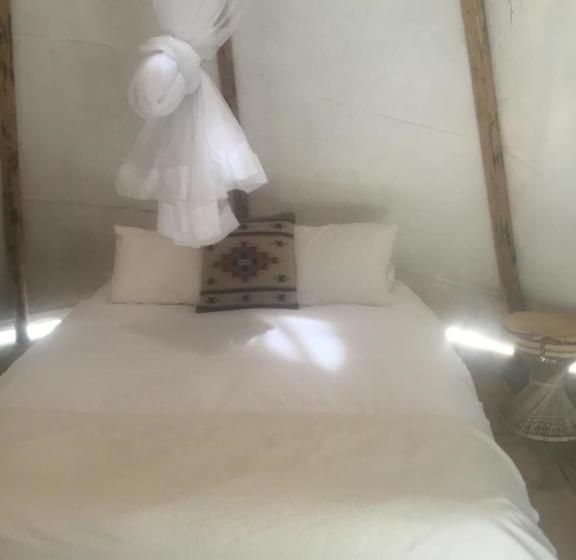فندق Taos Goji Farm & Eco Lodge Retreat