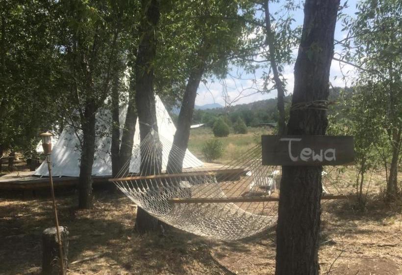 فندق Taos Goji Farm & Eco Lodge Retreat