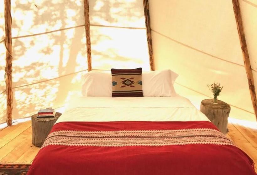 فندق Taos Goji Farm & Eco Lodge Retreat
