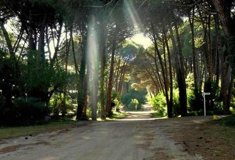 Las Cuatro Estaciones