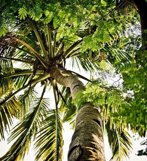 膳宿费 Ashtamudi Villa