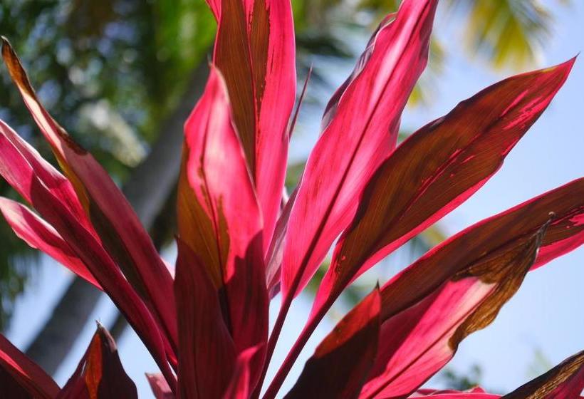 膳宿费 Ashtamudi Villa