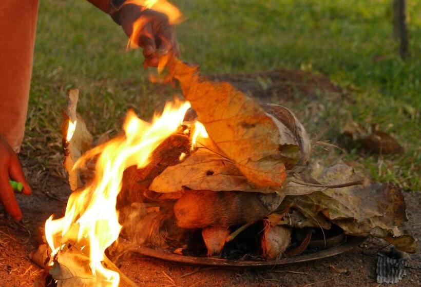 膳宿费 Ashtamudi Villa