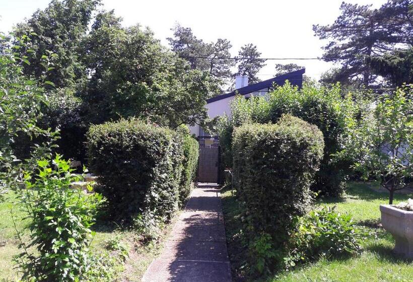 ペンション Avar Vendégház