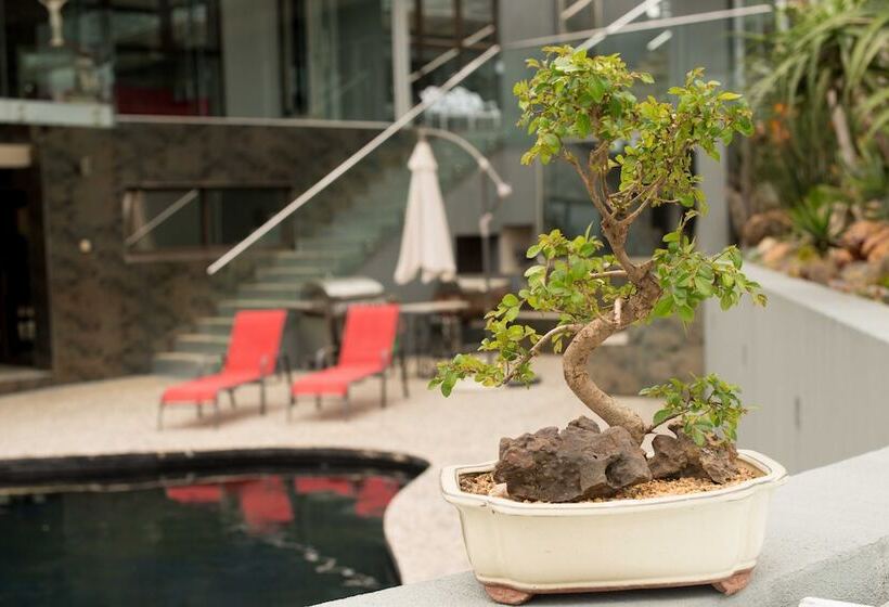 بنسيون Beds At Paarl