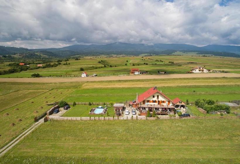 بنسيون Casa Genesini