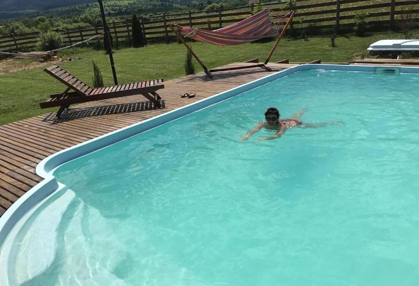 بنسيون Casa Genesini