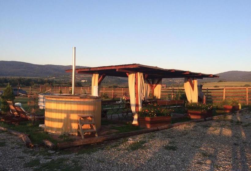 بنسيون Casa Genesini